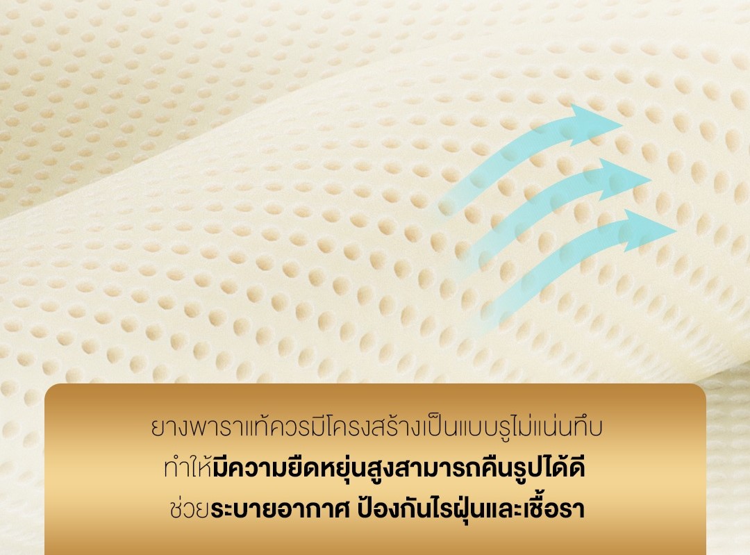 ที่นอนบางพาราแท้ 100% ผลิตแบบฉีดขึ้นรูป ไม่ใช่ยางพาราแบบอัด